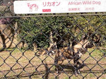 よこはま動物園ズーラシアに投稿された画像（2024/1/25）