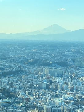 横浜ランドマークタワー 69階展望フロア スカイガーデンに投稿された画像（2024/1/25）