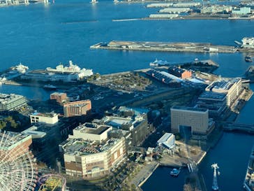 横浜ランドマークタワー 69階展望フロア スカイガーデンに投稿された画像（2024/1/25）