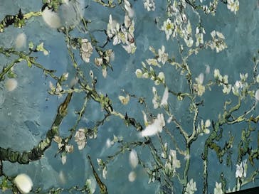 ゴッホ・アライブに投稿された画像（2024/1/25）