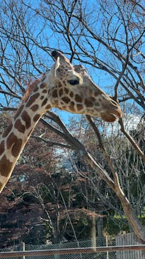 群馬サファリパークに投稿された画像（2024/1/25）