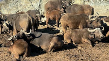 群馬サファリパークに投稿された画像（2024/1/25）