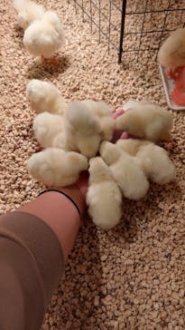 Moff animal cafe イオンモール幕張新都心店に投稿された画像（2024/1/25）