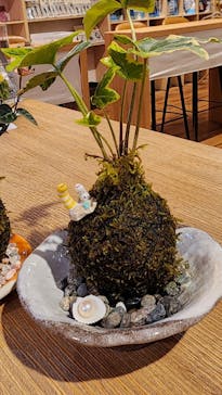 ゼロ距離水族館 伊勢シーパラダイスに投稿された画像（2024/1/25）