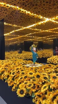 ゴッホ・アライブに投稿された画像（2024/1/25）