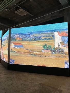 ゴッホ・アライブに投稿された画像（2024/1/25）