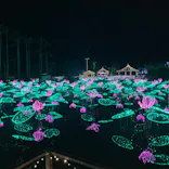 美らヤシパークオキナワ・東南植物楽園に投稿された画像（2024/1/26）