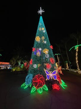 美らヤシパークオキナワ・東南植物楽園に投稿された画像（2024/1/25）