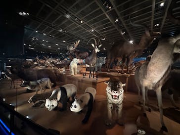 国立科学博物館に投稿された画像（2024/1/26）