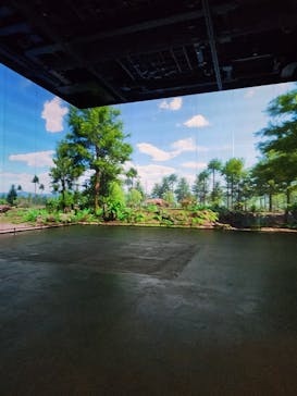 福井県立恐竜博物館に投稿された画像（2024/1/26）