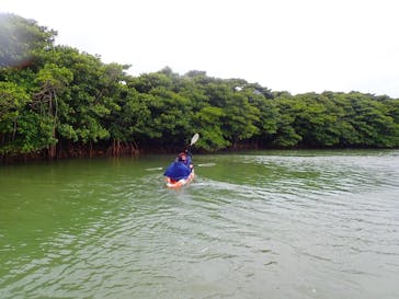 石垣島 ADVENTURE PiPi（イシガキジマアドベンチャーピピ）に投稿された画像（2024/1/26）