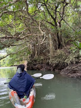 石垣島 ADVENTURE PiPi（イシガキジマアドベンチャーピピ）に投稿された画像（2024/1/26）