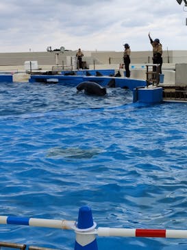 沖縄美ら海水族館（館内体験）に投稿された画像（2024/1/26）