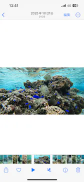 武藤潜水に投稿された画像（2024/1/26）