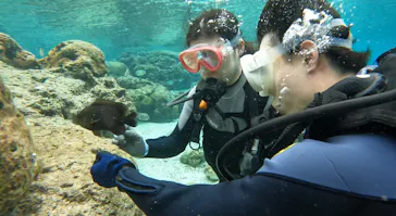 武藤潜水に投稿された画像（2024/1/26）