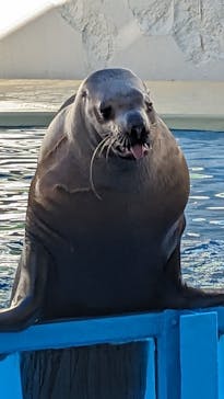 伊豆・三津シーパラダイスに投稿された画像（2024/1/26）