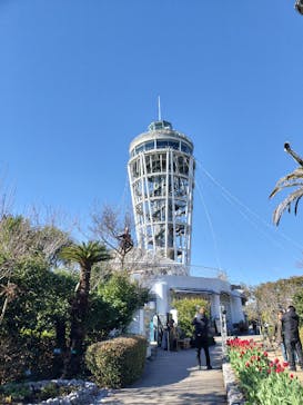 江の島シーキャンドルに投稿された画像（2024/1/26）