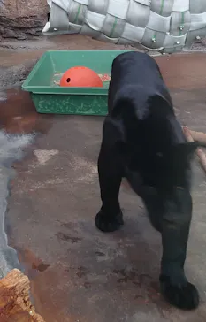 天王寺動物園に投稿された画像（2024/1/26）