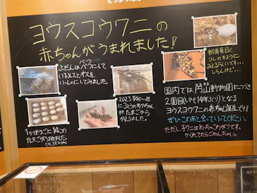 天王寺動物園に投稿された画像（2024/1/26）