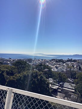 小田原城に投稿された画像（2024/1/26）