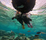 沖縄マリンサービス碧に投稿された画像（2024/1/26）