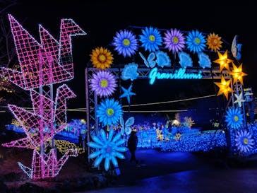 伊豆ぐらんぱる公園に投稿された画像（2024/1/26）