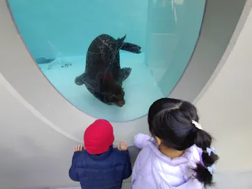 天王寺動物園に投稿された画像（2024/1/26）