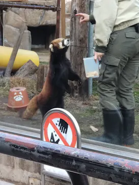 天王寺動物園に投稿された画像（2024/1/26）