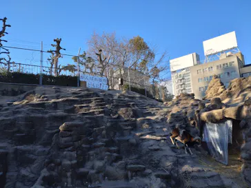 天王寺動物園に投稿された画像（2024/1/26）