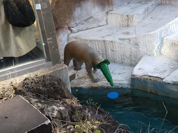 天王寺動物園に投稿された画像（2024/1/26）