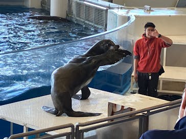 アクアワールド茨城県大洗水族館に投稿された画像（2024/1/26）