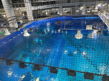 沖縄美ら海水族館（館内体験）に投稿された画像（2024/1/26）