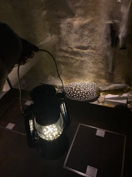 カワスイ 川崎⽔族館に投稿された画像（2024/1/26）