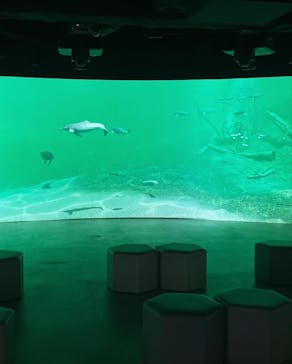 カワスイ 川崎⽔族館に投稿された画像（2024/1/26）