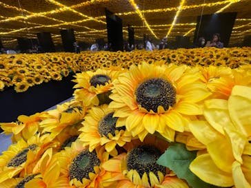 ゴッホ・アライブに投稿された画像（2024/1/27）