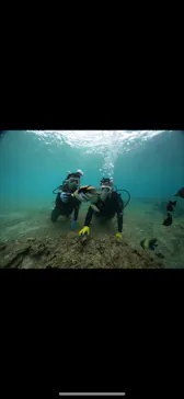 武藤潜水に投稿された画像（2024/1/27）