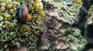 武藤潜水に投稿された画像（2024/1/27）