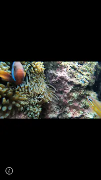 武藤潜水に投稿された画像（2024/1/27）