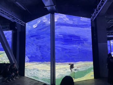 ゴッホ・アライブに投稿された画像（2024/1/27）