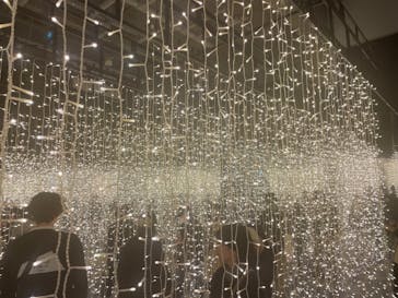 ゴッホ・アライブに投稿された画像（2024/1/27）