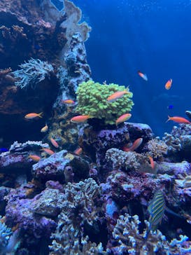 サンシャイン水族館に投稿された画像（2024/1/27）