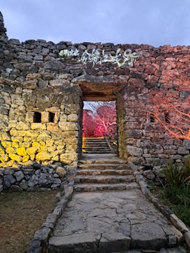 今帰仁城跡に投稿された画像（2024/1/27）