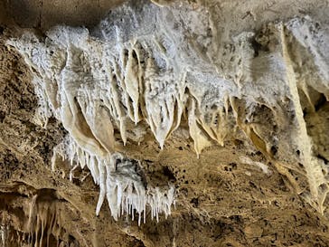 石垣島鍾乳洞に投稿された画像（2024/1/27）