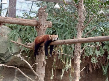 神戸どうぶつ王国に投稿された画像（2024/1/27）