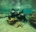 沖縄マリンサービス碧に投稿された画像（2024/1/27）