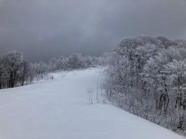 ジュネス栗駒スキー場に投稿された画像（2024/1/27）