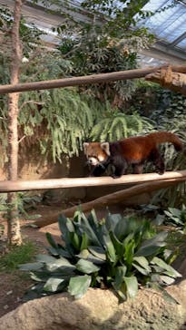 神戸どうぶつ王国に投稿された画像（2024/1/27）