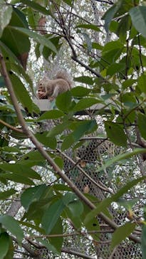 神戸どうぶつ王国に投稿された画像（2024/1/27）