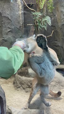 神戸どうぶつ王国に投稿された画像（2024/1/27）