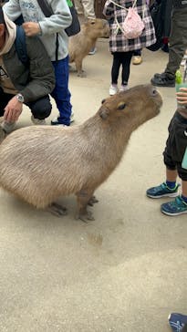 神戸どうぶつ王国に投稿された画像（2024/1/27）